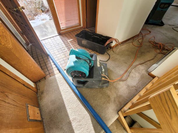 Best Flood damage cleanup  in Plantsville, CT