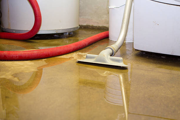 Trusted Plantsville, CT Water damage restoration Experts